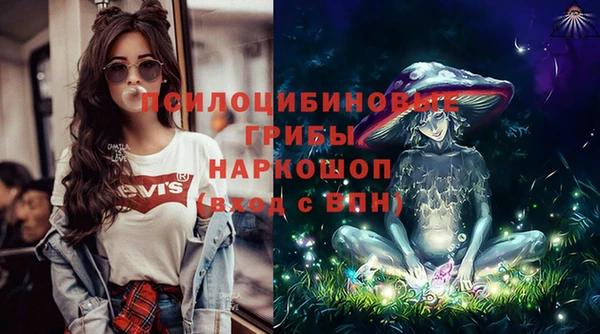 mix Богородск
