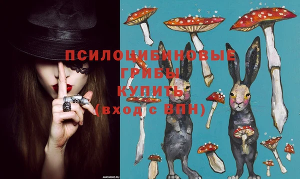 мяу мяу кристалл Козловка