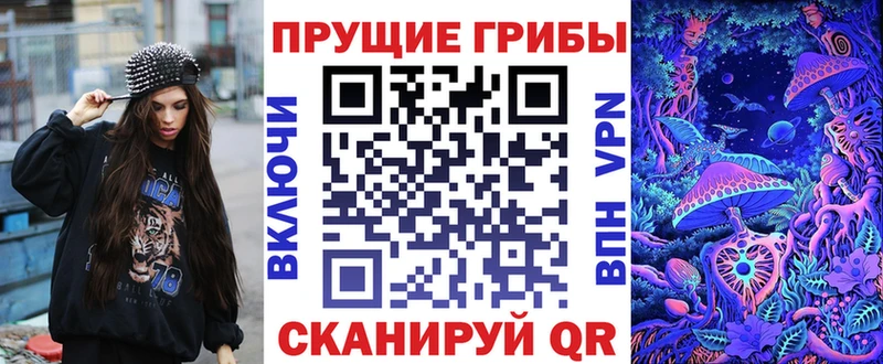 Псилоцибиновые грибы Cubensis  где найти   Грязовец 