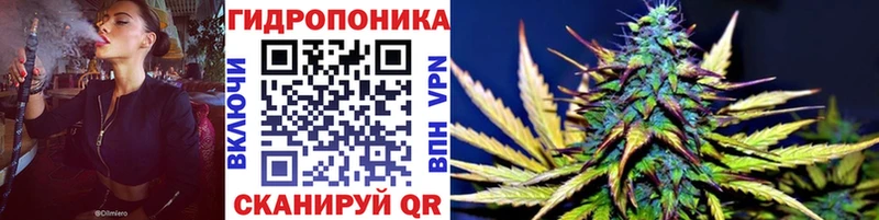 Бошки марихуана тримм  купить наркотики сайты  Грязовец 